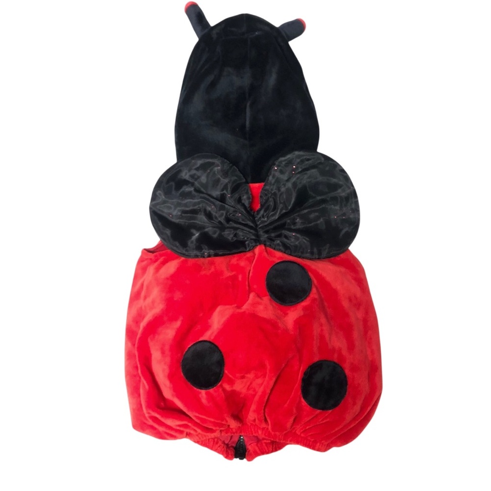 Fun of a Kind Lady‎ Bug Costume 18m - Picture 4 of 6